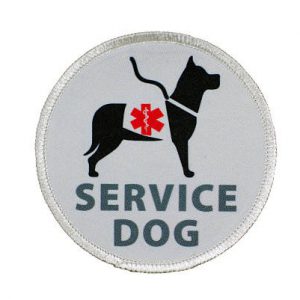 Golden Embroidery _ Print-2170